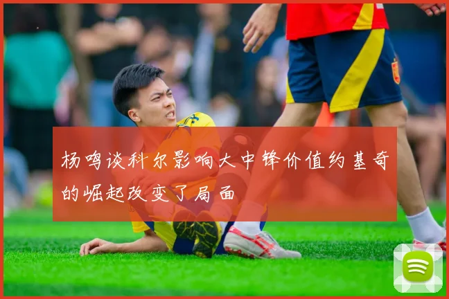 杨鸣谈科尔影响大中锋价值约基奇的崛起改变了局面