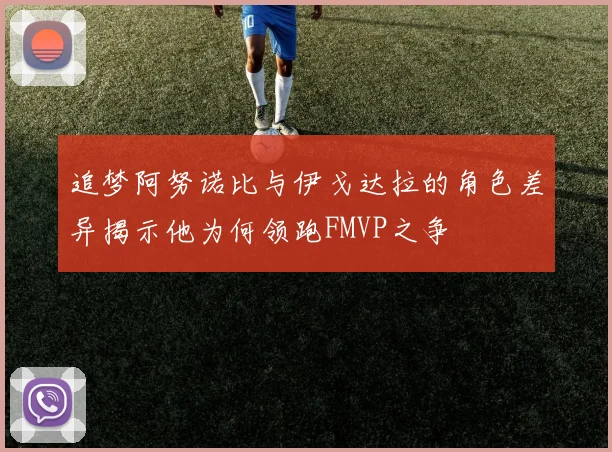 追梦阿努诺比与伊戈达拉的角色差异揭示他为何领跑FMVP之争